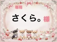 専用