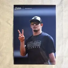 00 池田来翔 ブロマイド 千葉ロッテマリーンズ