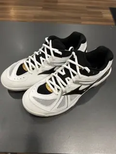 MIZUNO ミズノ　ウエーブファングXT3 バドミントンシューズ　未使用品 MIZUNO ミズノ ウエーブファングXT3 バドミントン 男女兼用