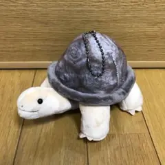 のこのこ リクガメ ぬいぐるみ 亀 陸亀