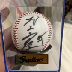 ヤクルト村上宗隆選手2021セ界MVP/ベスト9記念Tシャツ（サインボール付） 2021 タイトル獲得記念グッズ販売のお知らせ | 東京ヤクルト