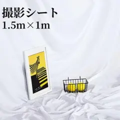 Item thumbnail for item 5ed0d8cf-071a-4950-8cc9-6bfb93257f0a