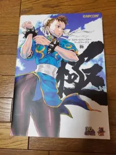 ストリートファイターアートワークス極　画集 ストリートファイターアートワークス 極 (カプコンF) | カプコン