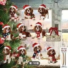 Item thumbnail for item 543c345b-01c6-47fe-8621-ec82a9060372