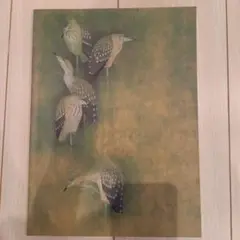 花鳥画の世界 上村松篁　淳之展