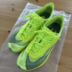 NIKE ナイキ Zoom Fly3 AT8240-700