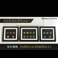 2025年最新】ポケモン バッジ チャンピオンロードの人気アイテム