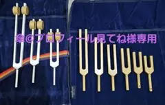 アキュトニクス 音叉 ヒーリング プラネタリーセット 6本 アキュトニクス 音叉 ヒーリング プラネタリーセット 6本