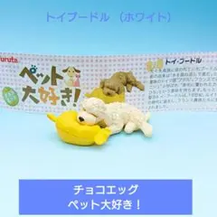 希少【Furuta】 チョコエッグ ペット大好き！ トイプードル （ホワイト）