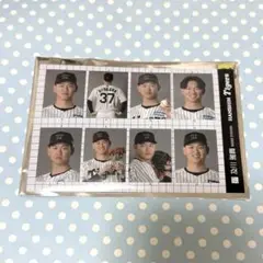 阪神タイガース　及川雅貴　選手　証明写真風ステッカー 2025