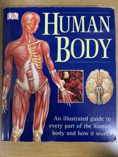 HUMAN BODY