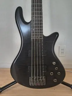 レア Schecter 5弦プレベ SCHECTER シェクター DIAMOND-P CUSTOM 5 DMB 20%OFF