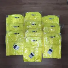 Item thumbnail for item 443816dd-aa18-4b6b-af74-c18d5a0ab2c7