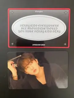 straykids フォーチュンカード　チャンビン　dominATE