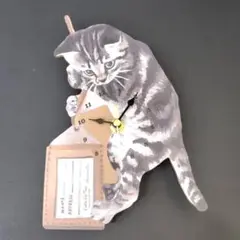 アフタヌーンティー Cats Nap Time 猫の壁掛時計 未使用 MH094