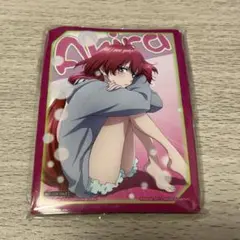 ヴァルヴレイヴ 連坊小路アキラ スリーブ 10枚入り×6セット 未開封品 2025年最新】連坊小路アキラの人気アイテム - メルカリ