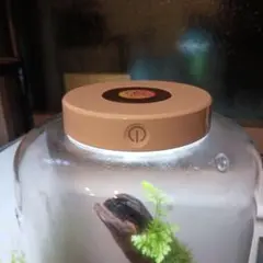 DOOA CELL AMBER セル アンバー　未使用 DOOA - Cell - Amber | Aquasabi - Aquarium Shop