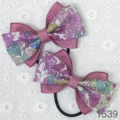 Item thumbnail for item 282870e5-93f3-4161-b14e-b5a673341744