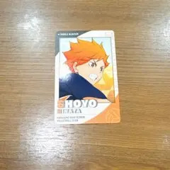 ハイキュー‼︎ スナップマイド2 日向翔陽