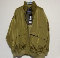 Item thumbnail for item 7261e8c1-3912-48b0-bc26-e49f8f63b3d4