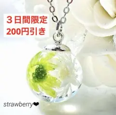 Item thumbnail for item 59f78134-cfdf-4c52-bef1-b28c0971044d