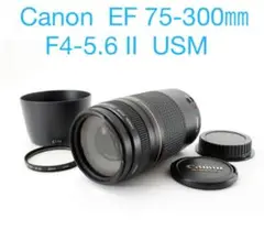 フード付き/人気の望遠レンズ /キヤノン/Canon EF75-300㎜