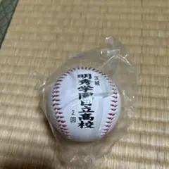 甲子園常連明秀日立　　公式戦ユニフォーム　XO 甲子園常連明秀日立 公式戦ユニフォーム XOベストセラー