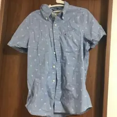 ホリスター　シャツ　水色 Hollister