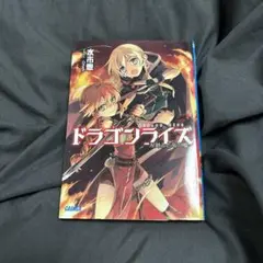 小学館 ドラゴンライズ 双剣士と竜の嘘 水市恵 小説