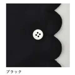 C & S 海のブロードにスィートスカラップ(レシピ付き) 黒　3m