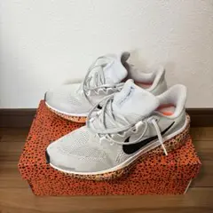 ナイキ ウィメンズ エア ズーム ペガサス 41