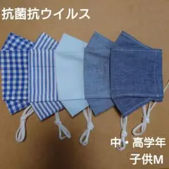 Item thumbnail for item fd3d272e-78a2-4697-b3d4-ebcebf7432cb