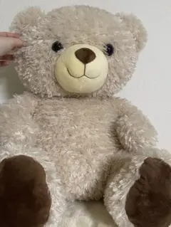 Item thumbnail for item b8d8887d-be70-45dd-ad3d-dedf9cac0338