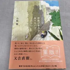 ここで唐揚げ弁当を食べないでください