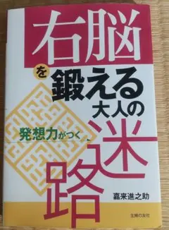 右脳を鍛える大人の迷路 : 発想力がつく、主婦の友社