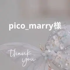 専用