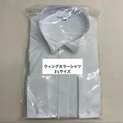 Item thumbnail for item caf136a4-1b11-466f-a08f-77e82905eded