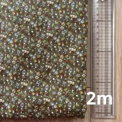 抹茶色　花柄 綿生地 2m