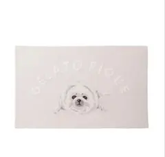 Item thumbnail for item 9e9144a6-3421-4f3d-b292-dff4f3cbb366