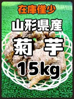 山形県産 天然 菊芋 キクイモ 土付き泥付 15kg
