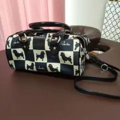 ルルギネス ミニボストンバッグ