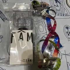 timelesz FAM ペンライトオーラス 銀テープおまけ付
