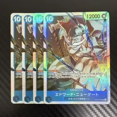 ワンピカード　OP13　白ひげ　青　SR セット