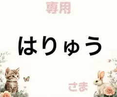 専用