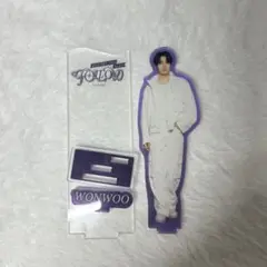 SEVENTEEN ウォヌFollowagain アクリルスタンド