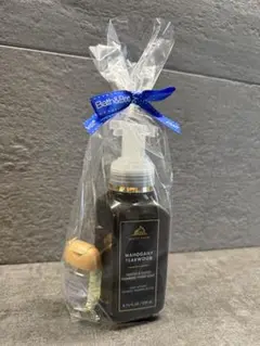 Item thumbnail for item f0194398-ecb9-4cb4-8cf9-886b56b740bf