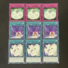 遊戯王　シンクロ・ワールド　ゾーン　デュエリスト・ジェネシス各3枚