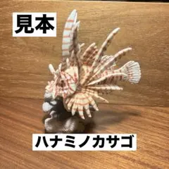 いきもの大図鑑ミニコレクションサンゴ礁に住む生き物 ハナミノカサゴ