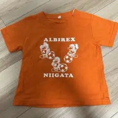 アルビレックス新潟 キッズTシャツ 90cm