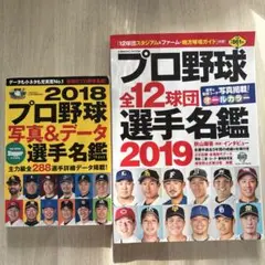 プロ野球写真&データ選手名鑑 2018 2019 2冊セット